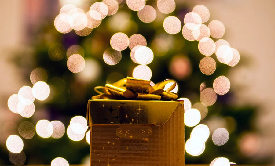 Ways to Give Back This Holiday Season