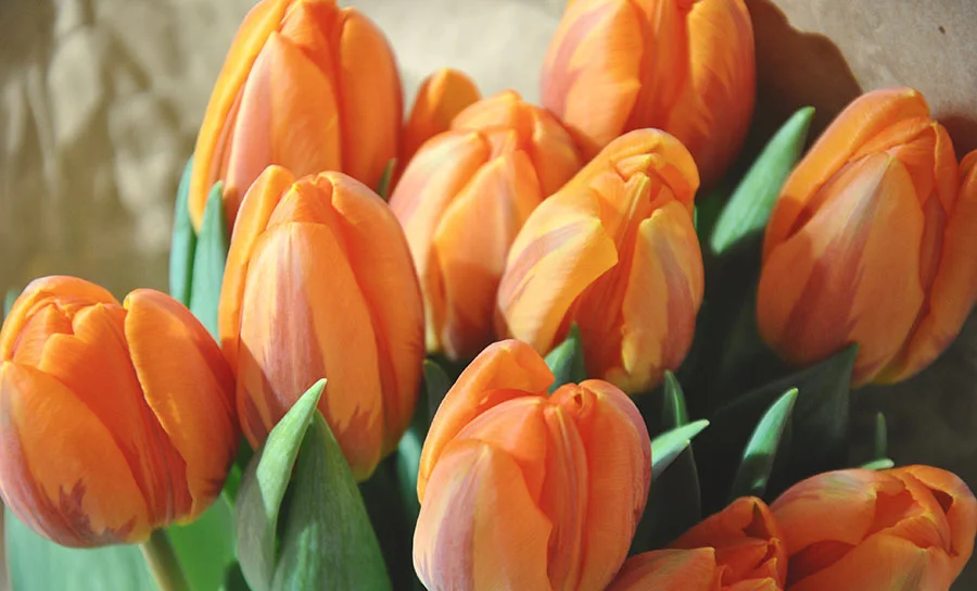 Refresh Your Signature Home For Spring